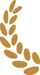 ESG社会议题 _ 数据安全与隐私保护 ESG社会议题 _ 数据安全与隐私保护